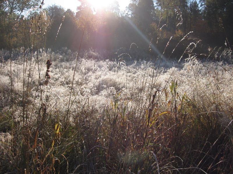 IMG_1130.jpg1.jpg"%20height="600"%20width="800